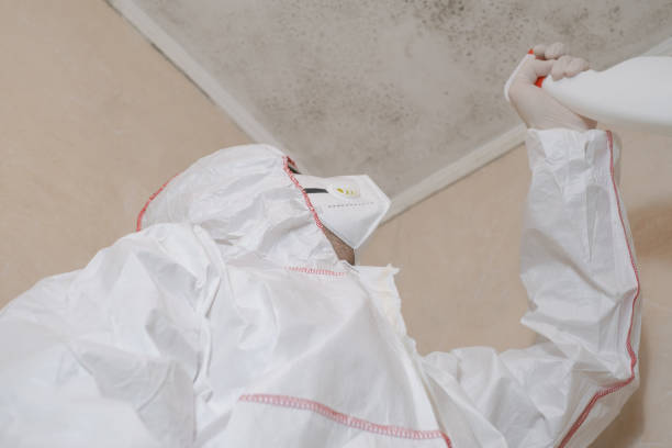 Best Crawl Space Mold Removal  in Lakeside, FL